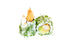 GARDEN ROLL CREVETTE TEMPURA